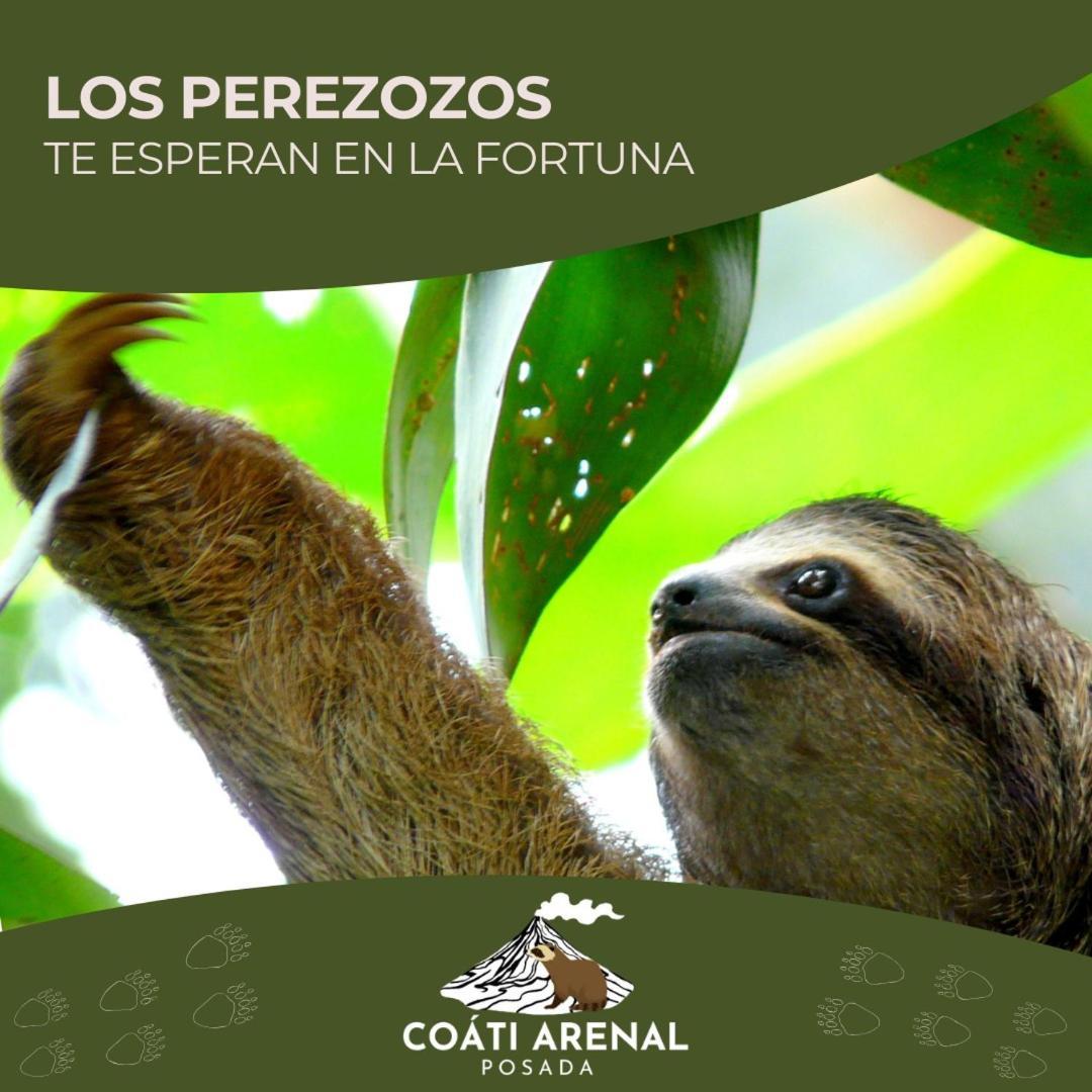 La Fortuna Coati Del Arenal Posada מראה חיצוני תמונה
